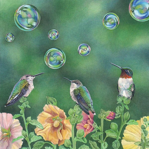 Hummingbirds: Bubble Birds by Marvindale