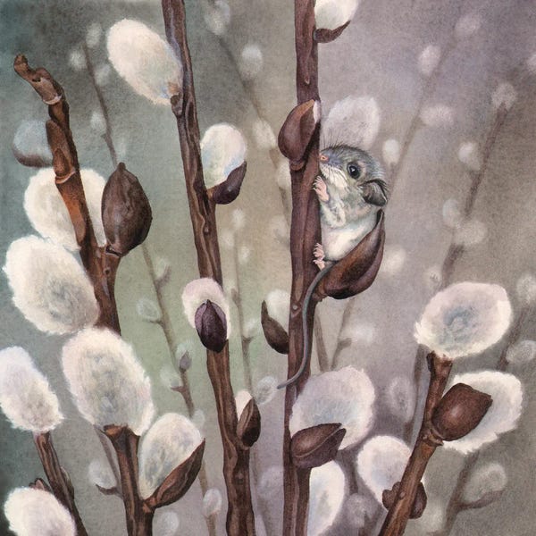 Mice: Mousy-Willow by Marvindale