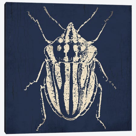 Bug Life Blue III Canvas Print #MVI116} by Milli Villa Canvas Wall Art