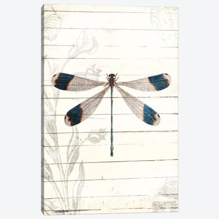 Dragonfly Look Canvas Print #MVI121} by Milli Villa Canvas Art