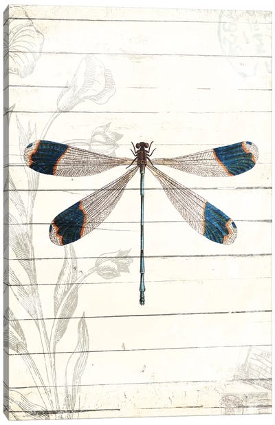 Dragonfly Look Canvas Art Print