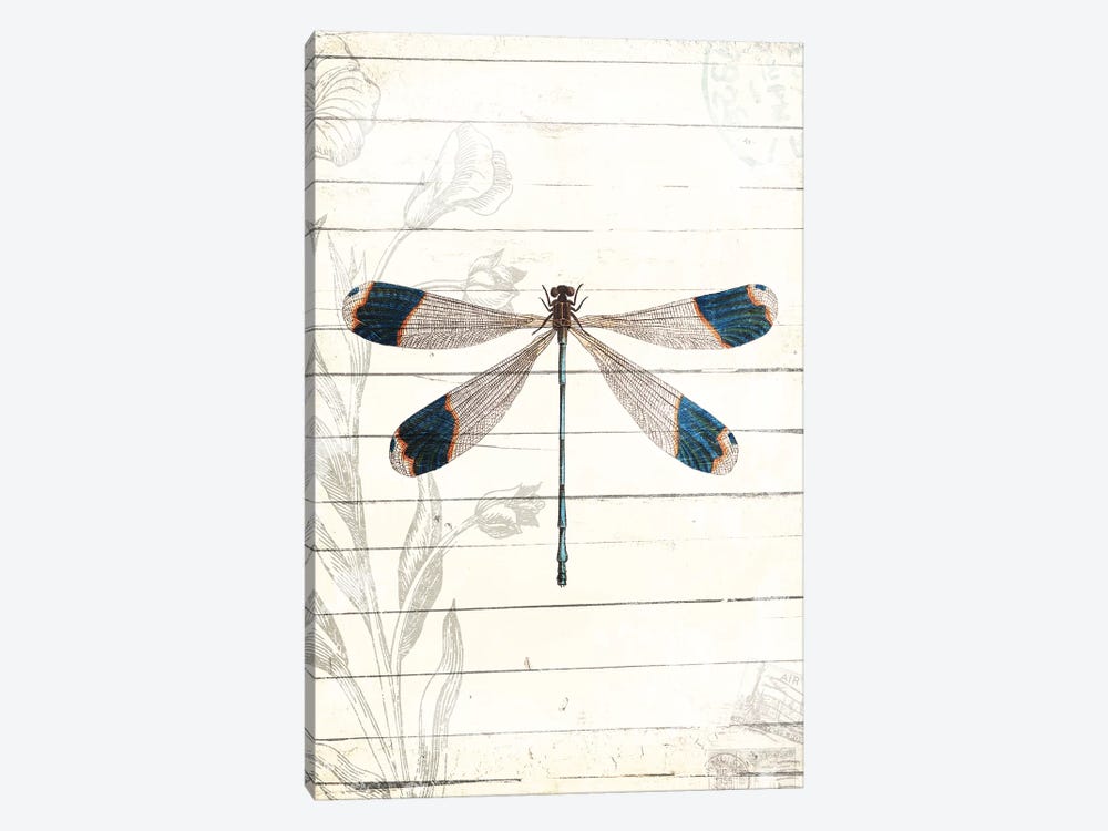 Dragonfly Look by Milli Villa 1-piece Canvas Art