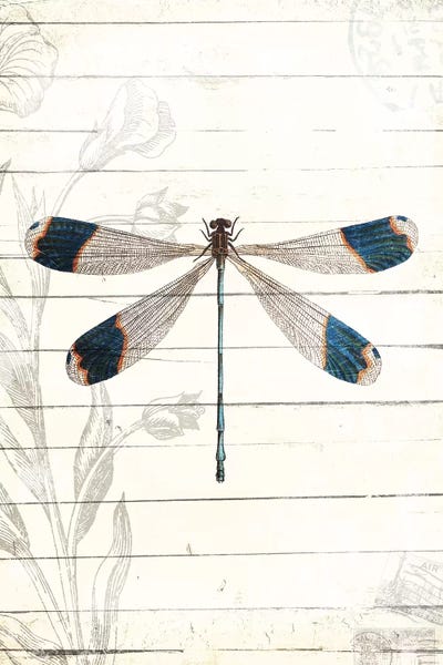 Dragonfly Look