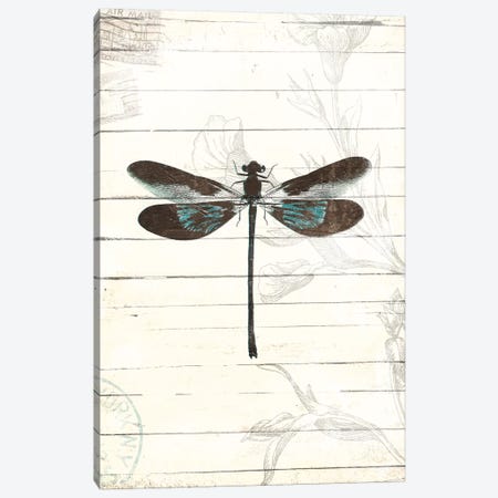 Dragonfly Look II Canvas Print #MVI122} by Milli Villa Canvas Art