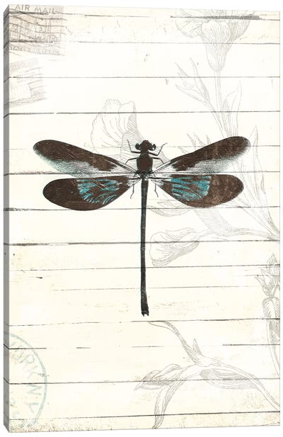 Dragonfly Look II Canvas Art Print