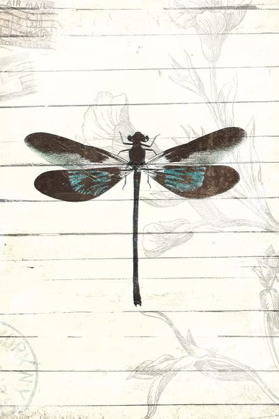 Dragonflies: Dragonfly Look II by Milli Villa