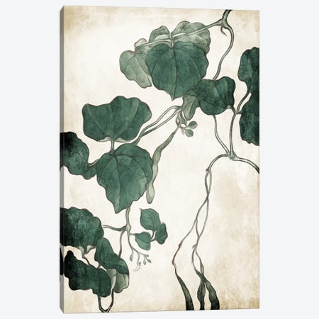 Hanging Leaves III Canvas Print #MVI175} by Milli Villa Canvas Wall Art