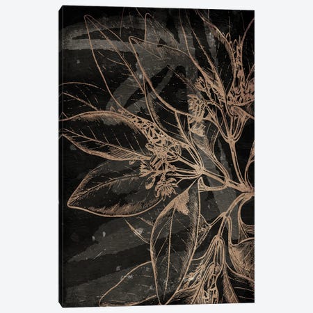 Muted Golden Abstract Floral Mate Canvas Print #MVI178} by Milli Villa Art Print
