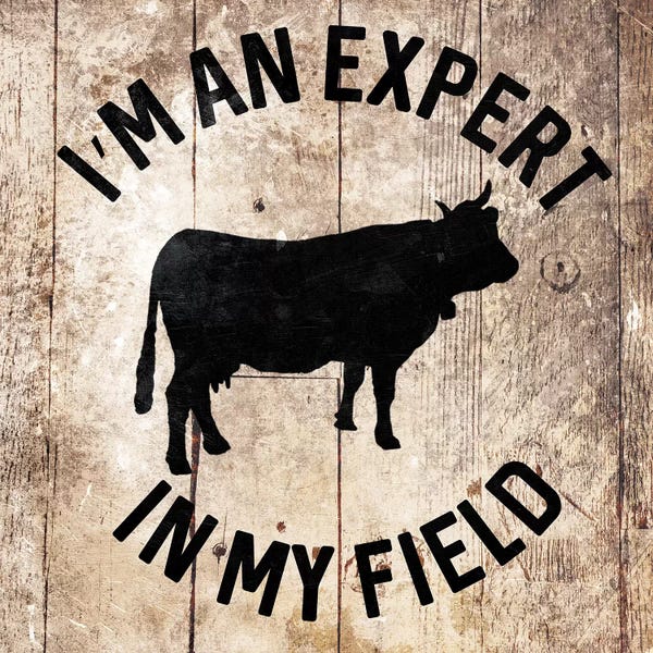 Modern Farmhouse Décor: In My Field by Milli Villa