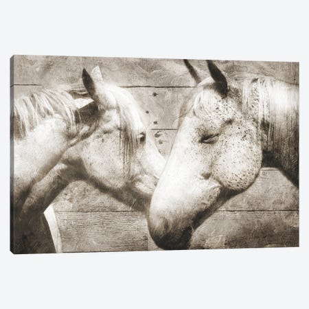 Love Horses Canvas Print #MVI25} by Milli Villa Canvas Print