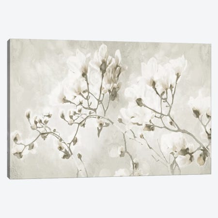 Bloom Through Cream Canvas Print #MVI40} by Milli Villa Canvas Wall Art
