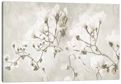Bloom Through Cream Canvas Art Print
