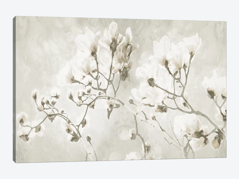 Bloom Through Cream by Milli Villa 1-piece Canvas Print