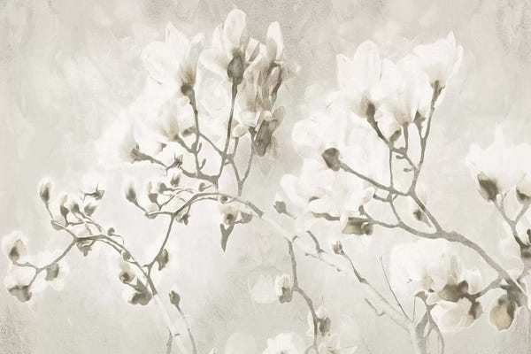 A.D. Lines Eurogroup Inc.: Bloom Through Cream by Milli Villa