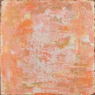 Rosy Morning by Marisol Evora metal wall art