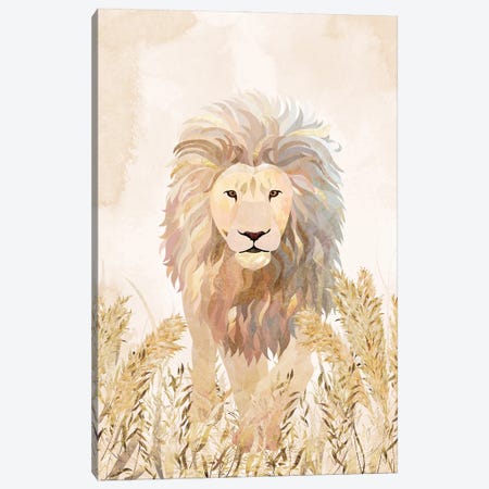 Golden Lion Grasslands Canvas Print #MVS105} by Sarah Manovski Canvas Wall Art