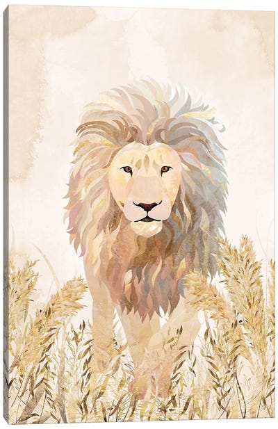 Golden Lion Grasslands Canvas Art Print - Sarah Manovski