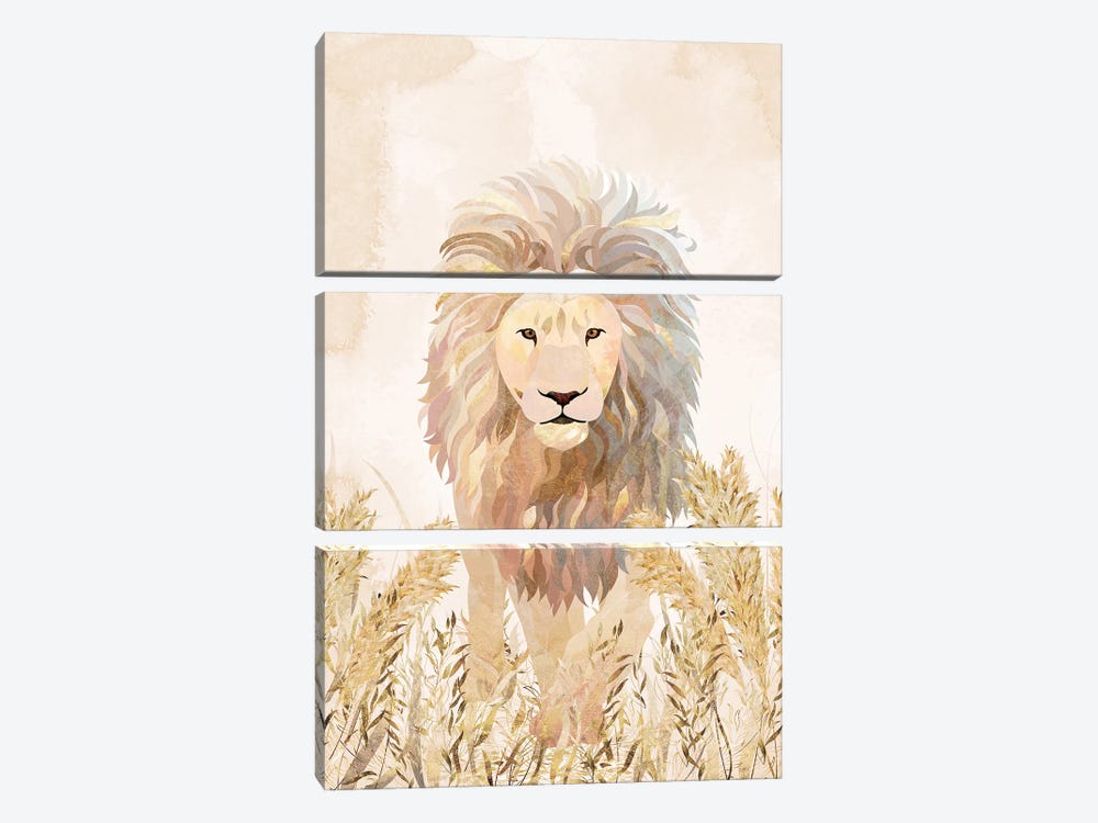 Golden Lion Grasslands by Sarah Manovski 3-piece Canvas Print