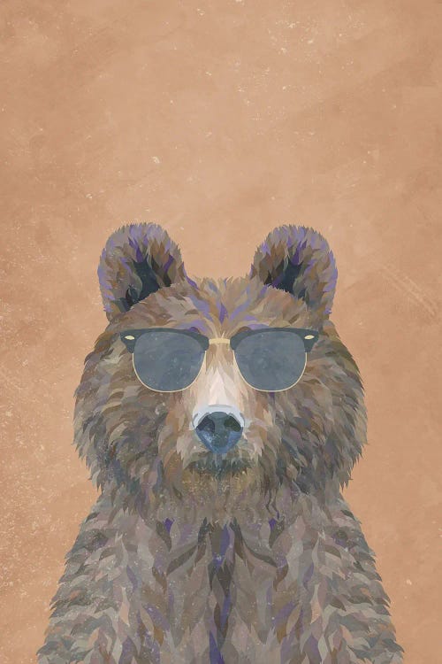 Cool Brown Bear