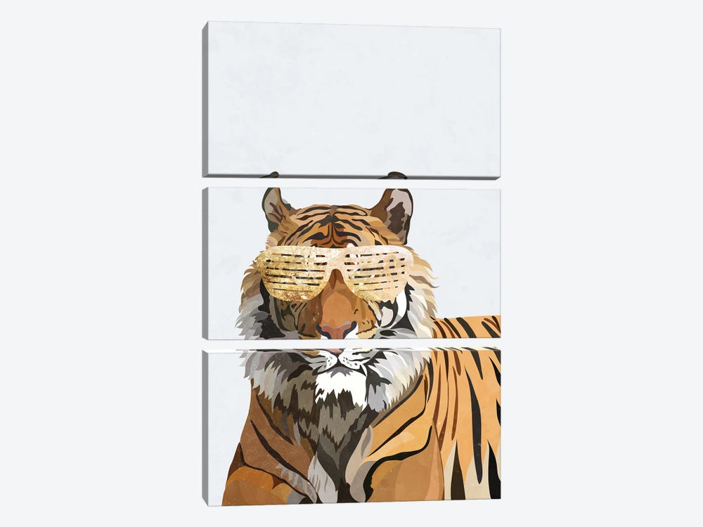 Hip Hop Tiger by Sarah Manovski 3-piece Canvas Artwork
