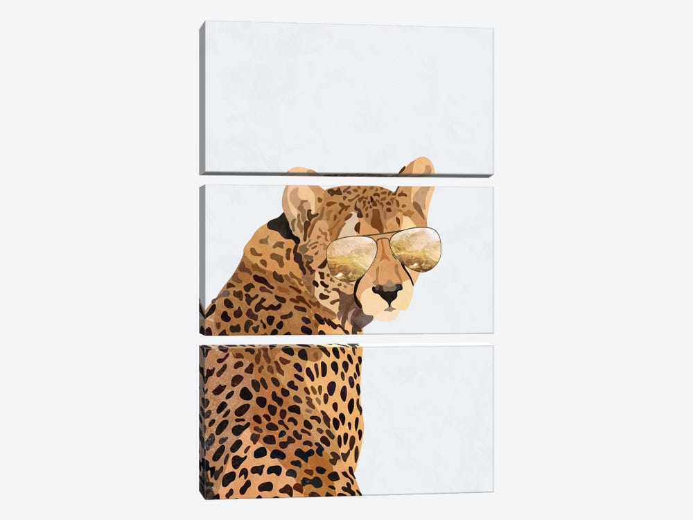Superstar Cheetah by Sarah Manovski 3-piece Canvas Art Print