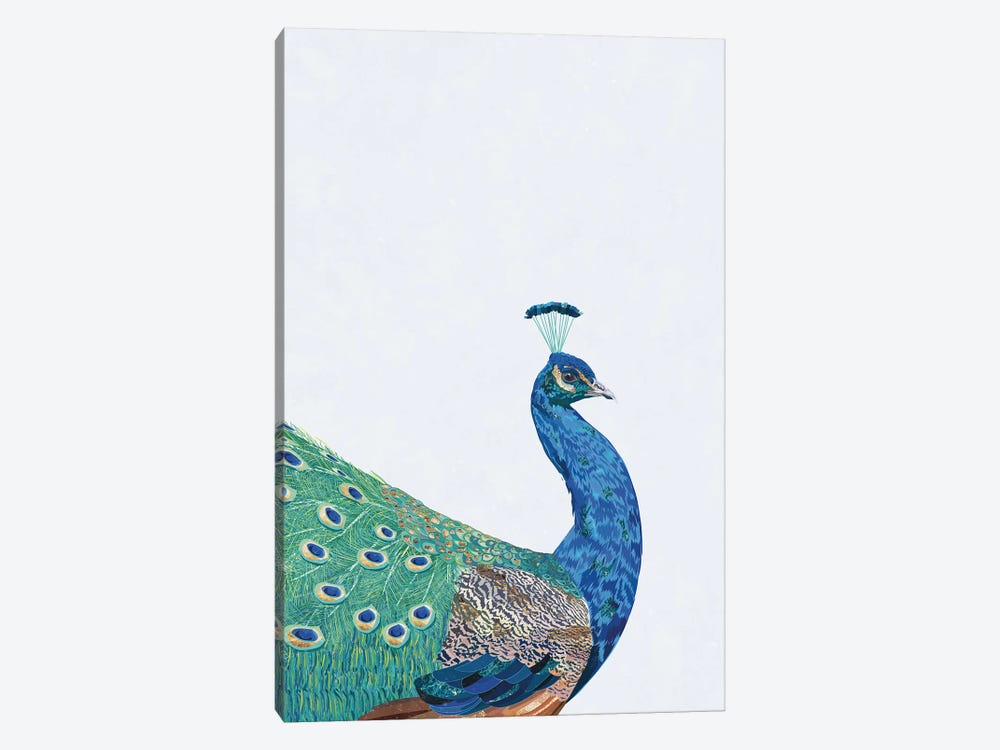 Perfect Peacock by Sarah Manovski 1-piece Canvas Art Print