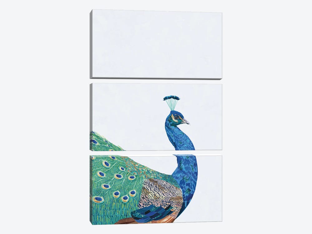 Perfect Peacock by Sarah Manovski 3-piece Canvas Art Print