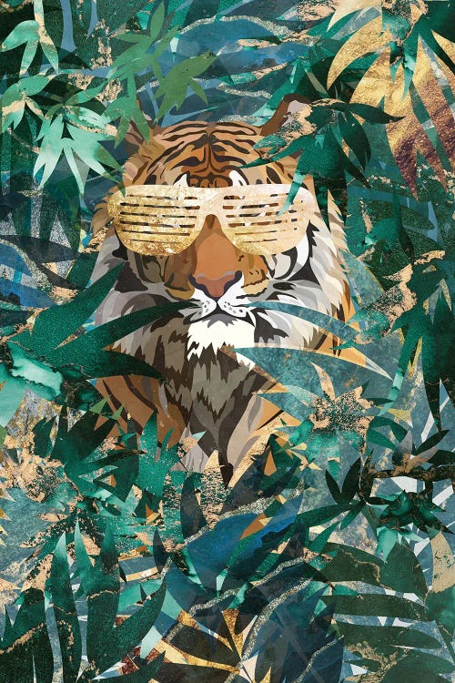 Hip Hop Tiger In The Jungle