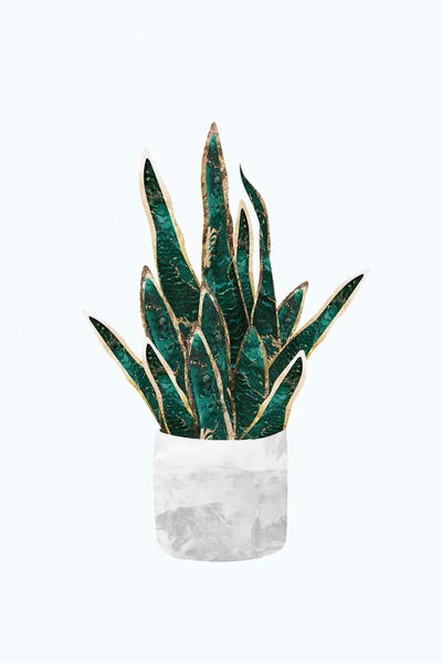Sarah Manovski: Metallic Snake Plant by Sarah Manovski