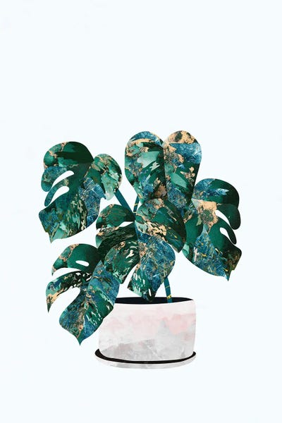 Monsteras: Metallic Monstera Swiss Cheese Plant by Sarah Manovski