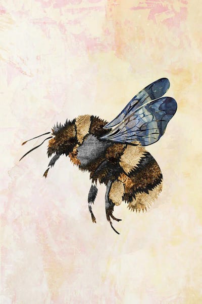 Sarah Manovski: Watercolour Metallic Bee I by Sarah Manovski