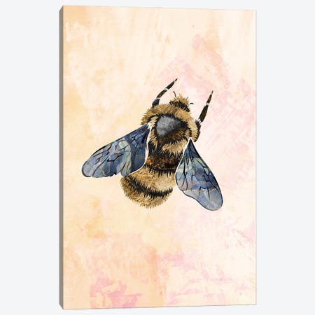 Watercolour Metallic Bee II Canvas Print #MVS44} by Sarah Manovski Canvas Print