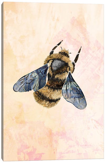 Watercolour Metallic Bee II Canvas Art Print - Sarah Manovski
