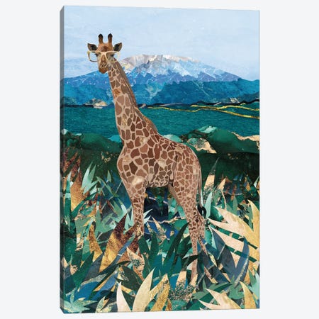 Giraffe In The Grasslands Canvas Print #MVS4} by Sarah Manovski Art Print