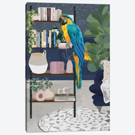 Macaw Bookshelf Canvas Print #MVS56} by Sarah Manovski Canvas Wall Art
