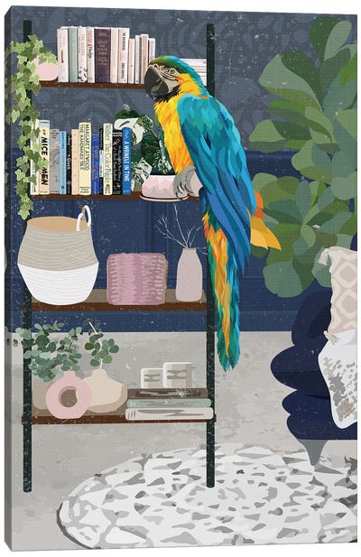 Macaw Bookshelf Canvas Art Print - Macaw Art