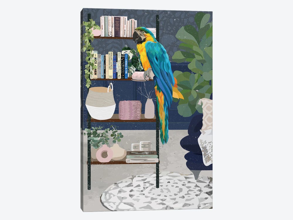 Macaw Bookshelf by Sarah Manovski 1-piece Canvas Print