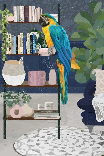 Office Humor: Macaw Bookshelf by Sarah Manovski