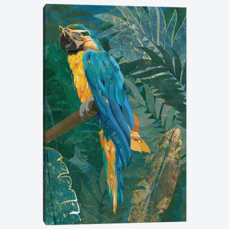 Macaw In The Jungle Canvas Print #MVS5} by Sarah Manovski Art Print