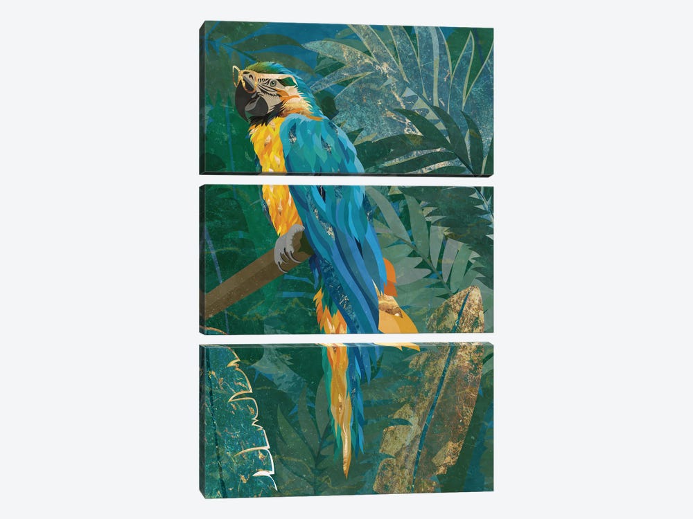 Macaw In The Jungle by Sarah Manovski 3-piece Art Print