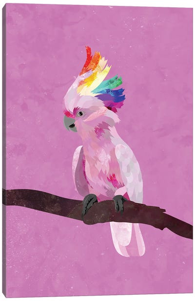 Pride Pink Cockatoo Canvas Art Print - Cockatoo Art