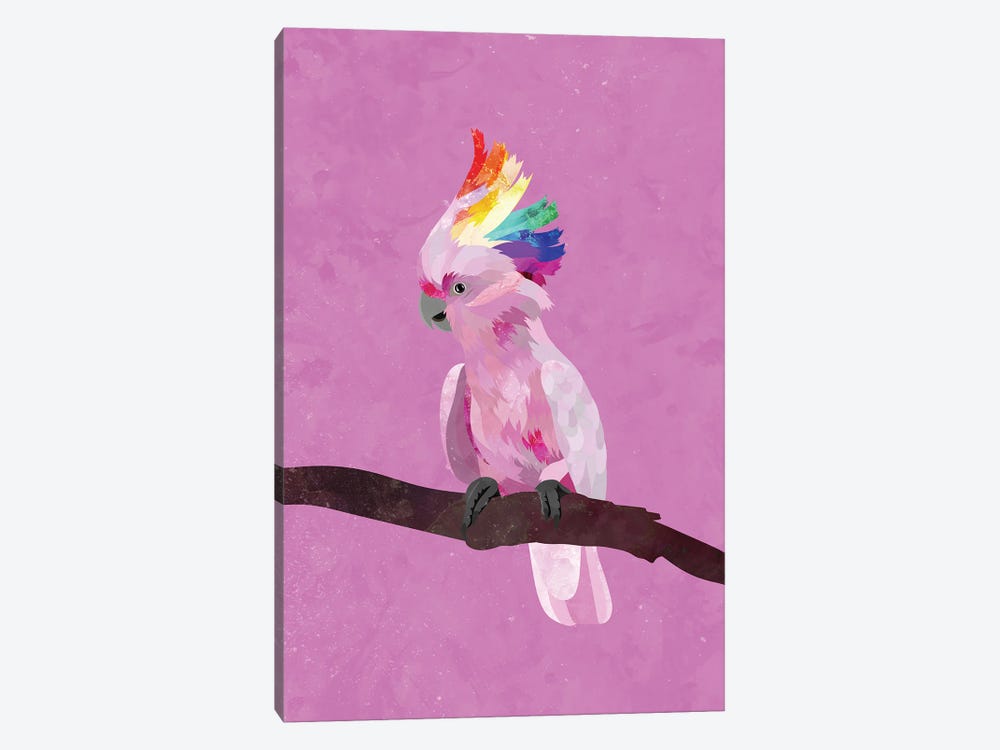Pride Pink Cockatoo by Sarah Manovski 1-piece Canvas Art