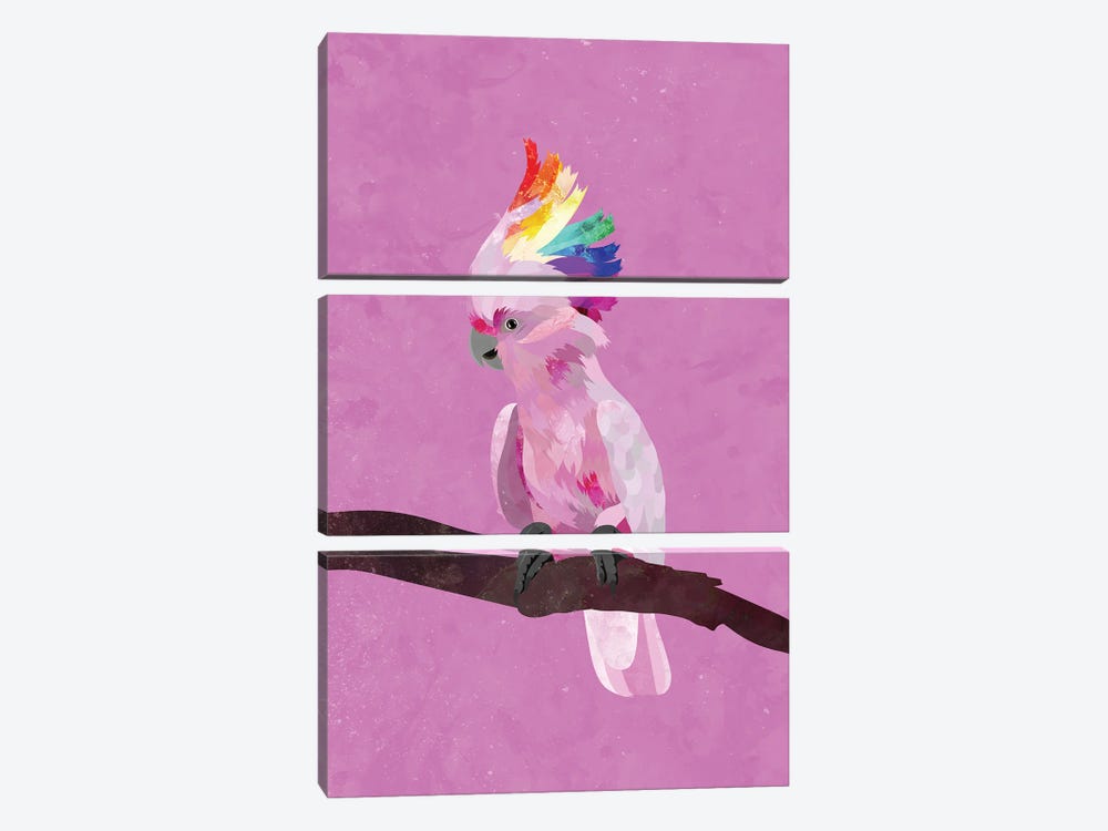 Pride Pink Cockatoo by Sarah Manovski 3-piece Canvas Artwork