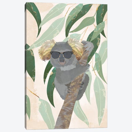 Cool Koala Canvas Print #MVS69} by Sarah Manovski Canvas Art