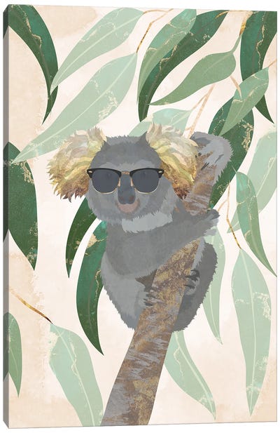 Cool Koala Canvas Art Print - Sarah Manovski
