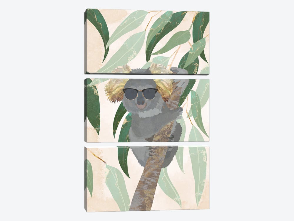 Cool Koala by Sarah Manovski 3-piece Canvas Art Print