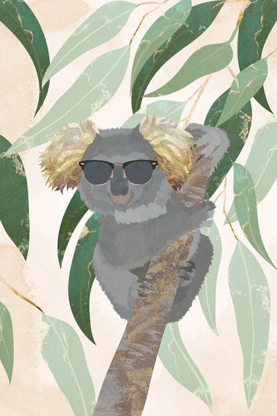 Koalas: Cool Koala by Sarah Manovski