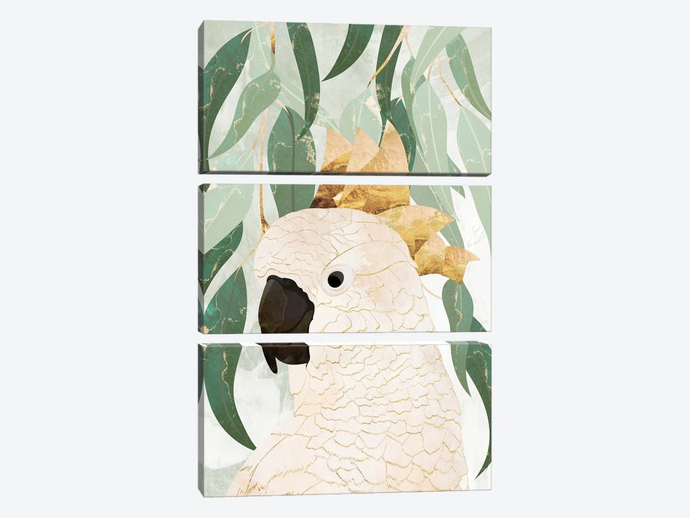 Sydney Opera Cockatoo by Sarah Manovski 3-piece Canvas Art Print