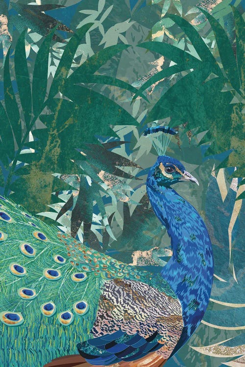 Peacock In The Jungle