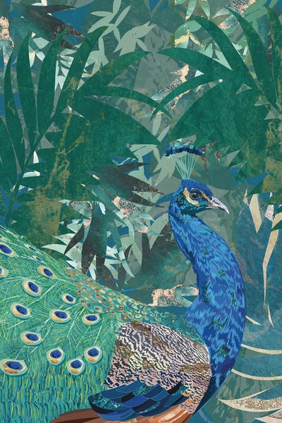 Peacocks: Peacock In The Jungle by Sarah Manovski